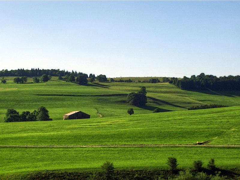 Thompson's Station, Tennessee area photo (placeholder)